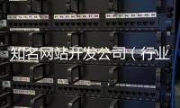 知名网站开发公司（行业网站开发公司）