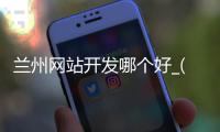 兰州网站开发哪个好_(兰州做网站最好的公司)