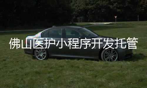 佛山医护小程序开发托管(佛山医护免费)