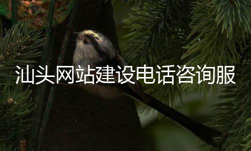 汕头网站建设电话咨询服务(汕头网站建设方案咨询)