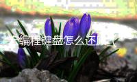 宏编程键盘怎么还原_(x9宏编程机械键盘怎么恢复出厂设置) 
