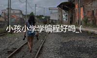小孩小学学编程好吗_(孩子小学学编程课有用吗) 