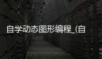 自学动态图形编程_(自学动态图形编程教程)